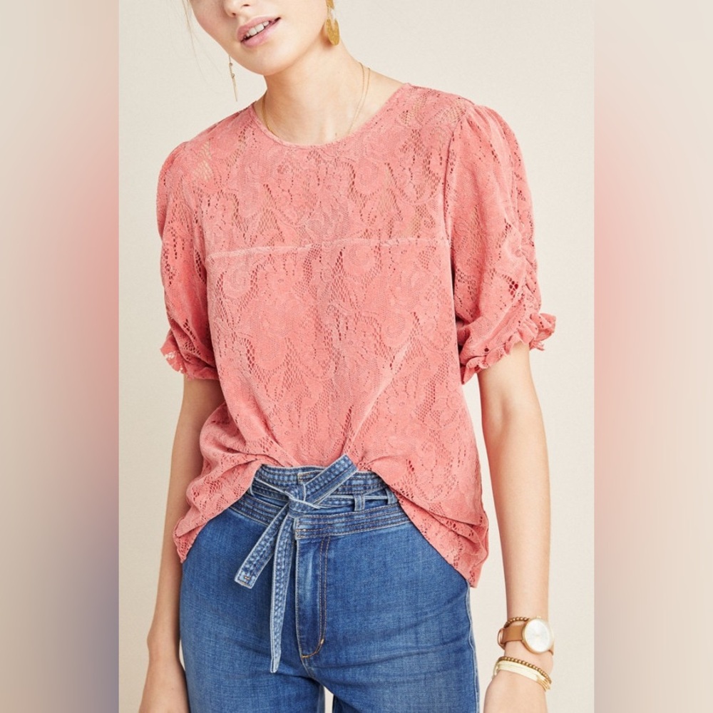 Anthropologie Parvati Velvet Lace Top medium